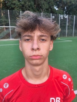 Avatar Bild für Denis Borozan