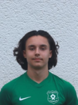 Avatar Bild für Alen Halilovic