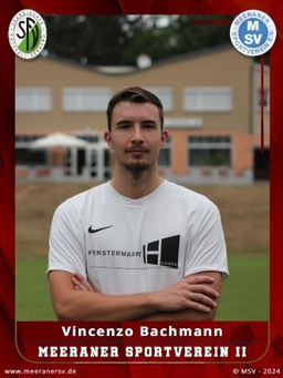 Avatar Bild für Vincenzo Bachmann