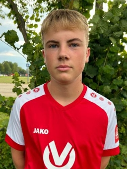 Avatar Bild für Dominic Straub