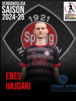 Avatar Bild für Enes Hajdari