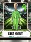 Avatar Bild