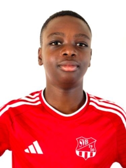 Avatar Bild für Malik Idrissou Abdoul