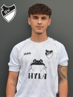 Avatar Bild für Evangelos Lioliakis