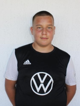 Avatar Bild für Dzevad Melic