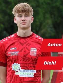 Avatar Bild für Anton Biehl