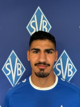 Avatar Bild für Wael Jamileh