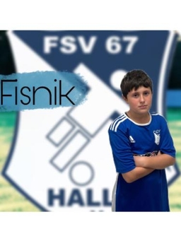 Avatar Bild für Fisnik Alijiji