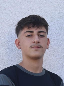 Avatar Bild für Artion Shala