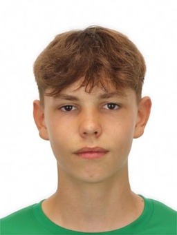 Avatar Bild für Luis Hahmann