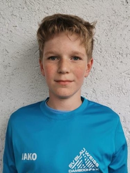 Avatar Bild für Oskar Sternberg