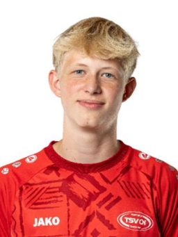 Avatar Bild für Henri Frank Nellesen