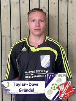 Avatar Bild für Tayler-Dave Gründel