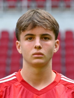 Avatar Bild für Levi Fritz Mentzel