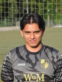 Avatar Bild für Louis Dao