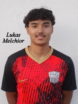 Avatar Bild für Lukas Melchior