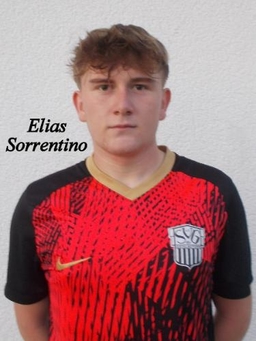 Avatar Bild für Elias Sorrentino