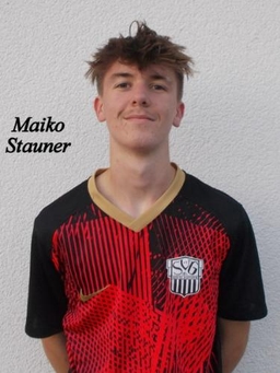 Avatar Bild für Maiko Stauner