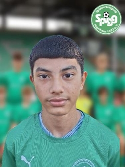 Avatar Bild für Amirali Amiri