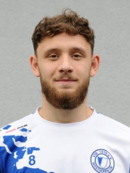 Avatar Bild für Dzenan Ismail Bibic