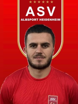 Avatar Bild für Albert Gerbeshi