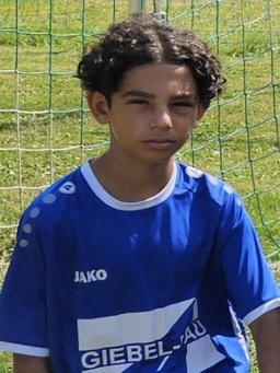 Avatar Bild für Daryoush Remeshk