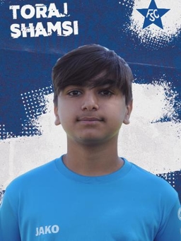 Avatar Bild für Toraj Shamsi