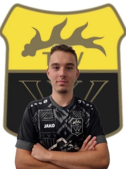 Avatar Bild für Niklas Holzheuer