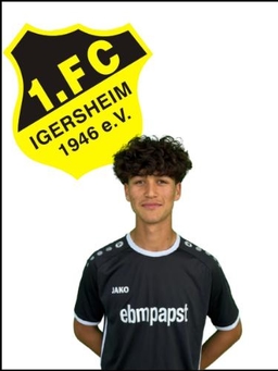 Avatar Bild für Qadir Amini