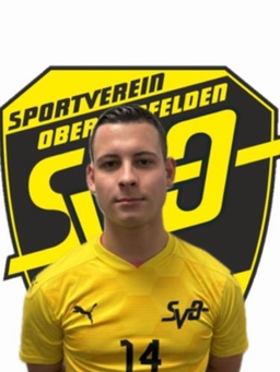 Avatar Bild für Zdravko Vrdoljak