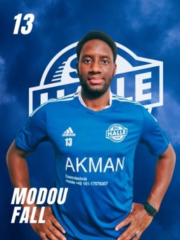 Avatar Bild für Modou Fall