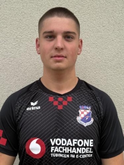 Avatar Bild für Ilija Matijevic