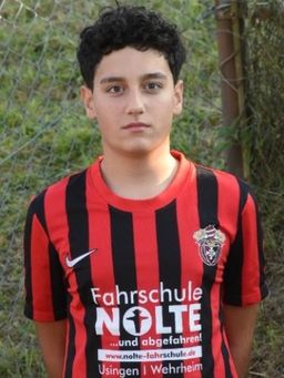 Avatar Bild für Raman Arabkashani