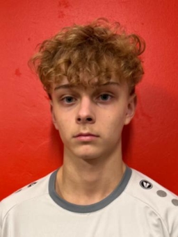 Avatar Bild für Tamino Ehrhart