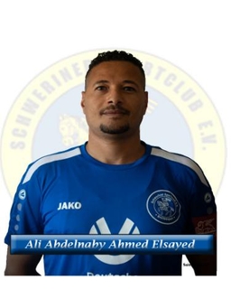 Avatar Bild für Ali Abdelnaby Ahmed Elsayed