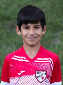 Avatar Bild für Mohamad Mershad Alikhani