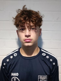 Avatar Bild für Henri Stapper