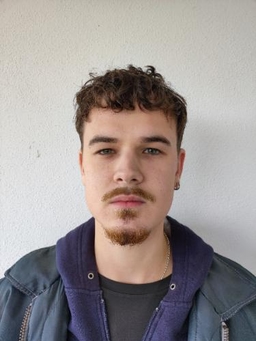Avatar Bild für Artur Trikole