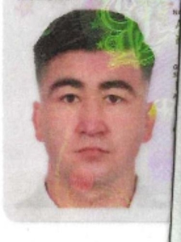 Avatar Bild für Mohammed Hussein Ahmadi