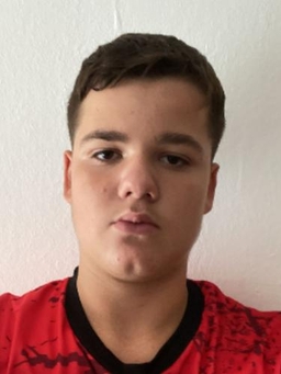 Avatar Bild für Drilon Bajraktaraj