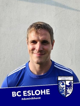 Avatar Bild für Dominik Horst
