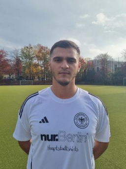 Avatar Bild für Delvis Thaqi