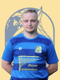 Avatar Bild für Niklas Henne