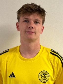 Avatar Bild für Louis Kaufmann