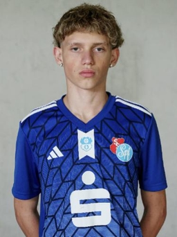 Avatar Bild für Niko Mlinaric