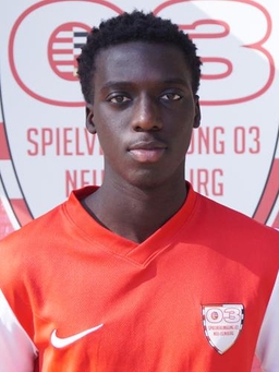 Avatar Bild für Mohamed Lamin Sanneh Dampha