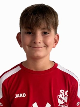 Avatar Bild für Lasse Fries