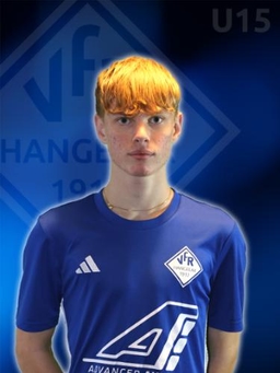 Avatar Bild für Dominik Warmut