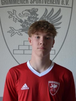 Avatar Bild für Henri Nitsche