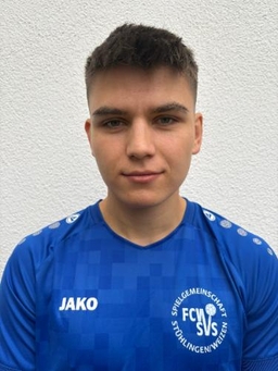 Avatar Bild für David Scheu